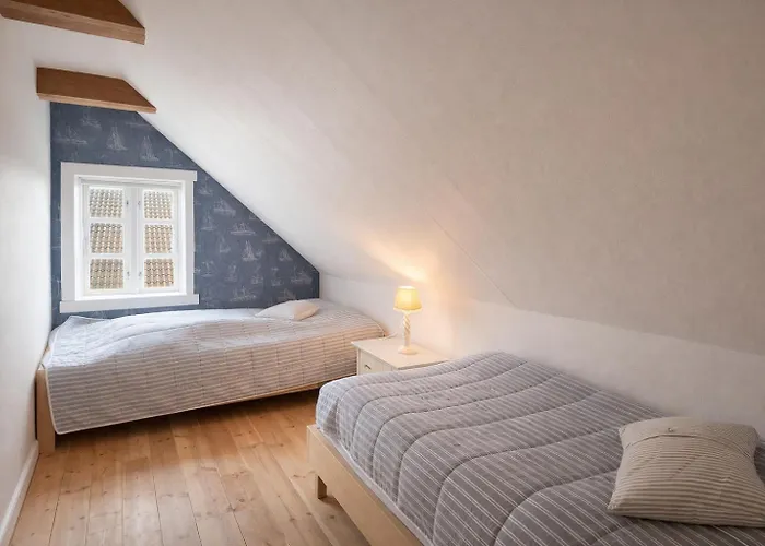 The Cozy *